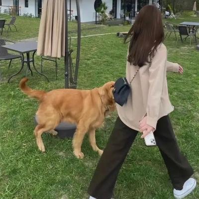 一个现代女人的私生活